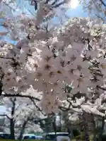 開成山大神宮(福島県)
