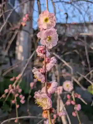 蓮華寺(東京都)