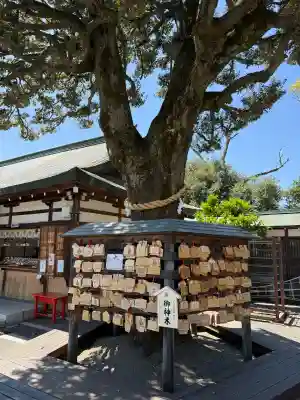 足利織姫神社の{uncategorized: "未分類", other: "その他", undefined: "問題あり", building: "その他建物", grave: "お墓", sacred_gate: "鳥居", guardian: "狛犬", statue: "像", buddha: "仏像", history: "歴史", nature: "自然", garden: "庭園", animal: "動物", pagoda: "塔", temizu: "手水舎", mountain_gate: "山門・神門", sanctuary: "本殿・本堂", subordinate: "末社・摂社", art: "芸術", scenery: "景色", jizo: "地蔵", ema: "絵馬", goshuin: "御朱印", omikuji: "おみくじ", items: "授与品その他", amulet: "お守り", goshuincho: "御朱印帳", eats: "食事", festival: "お祭り", votive_dance: "神楽", shichigosan: "七五三参", wedding: "結婚式", experience: "体験その他", initially: "初詣", around: "周辺", anti_infection: "感染症対策"}