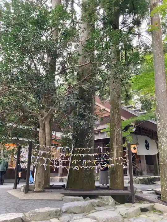 椿大神社(三重県)