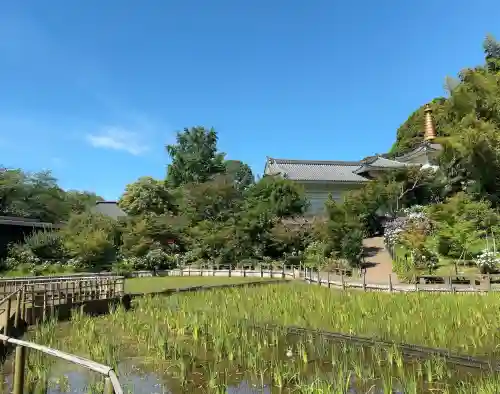 本土寺(千葉県)