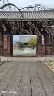 妙覺寺(妙覚寺)の山門・神門