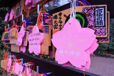 櫻木神社の絵馬