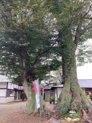 八枝神社(埼玉県)