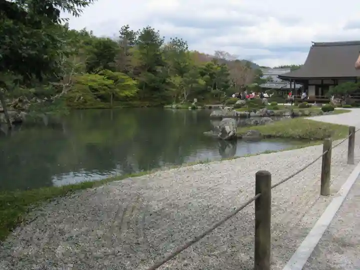 天龍寺の庭園