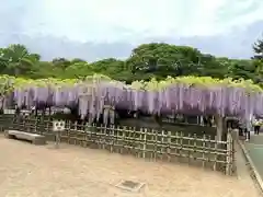 玉敷神社の庭園