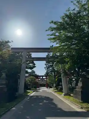 善知鳥神社の{uncategorized: "未分類", other: "その他", undefined: "問題あり", building: "その他建物", grave: "お墓", sacred_gate: "鳥居", guardian: "狛犬", statue: "像", buddha: "仏像", history: "歴史", nature: "自然", garden: "庭園", animal: "動物", pagoda: "塔", temizu: "手水舎", mountain_gate: "山門・神門", sanctuary: "本殿・本堂", subordinate: "末社・摂社", art: "芸術", scenery: "景色", jizo: "地蔵", ema: "絵馬", goshuin: "御朱印", omikuji: "おみくじ", items: "授与品その他", amulet: "お守り", goshuincho: "御朱印帳", eats: "食事", festival: "お祭り", votive_dance: "神楽", shichigosan: "七五三参", wedding: "結婚式", experience: "体験その他", initially: "初詣", around: "周辺", anti_infection: "感染症対策"}