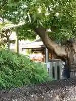 稲荷神社の本殿・本堂