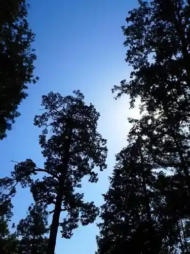 水無神社の自然