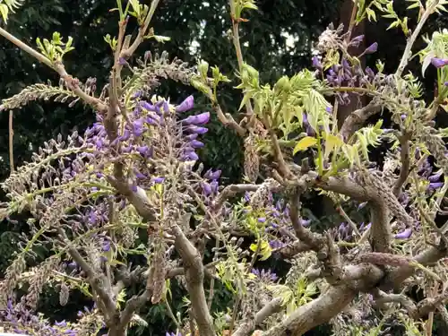 大生郷天満宮の庭園