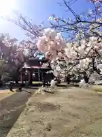 福富神社の自然