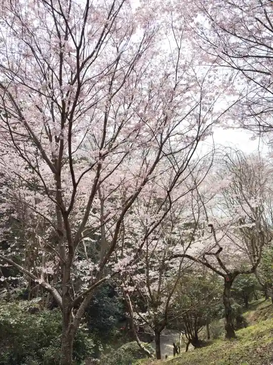 大神神社の{uncategorized: "未分類", other: "その他", undefined: "問題あり", building: "その他建物", grave: "お墓", sacred_gate: "鳥居", guardian: "狛犬", statue: "像", buddha: "仏像", history: "歴史", nature: "自然", garden: "庭園", animal: "動物", pagoda: "塔", temizu: "手水舎", mountain_gate: "山門・神門", sanctuary: "本殿・本堂", subordinate: "末社・摂社", art: "芸術", scenery: "景色", jizo: "地蔵", ema: "絵馬", goshuin: "御朱印", omikuji: "おみくじ", items: "授与品その他", amulet: "お守り", goshuincho: "御朱印帳", eats: "食事", festival: "お祭り", votive_dance: "神楽", shichigosan: "七五三参", wedding: "結婚式", experience: "体験その他", initially: "初詣", around: "周辺", anti_infection: "感染症対策"}