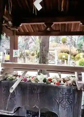 鳩森八幡神社の手水舎