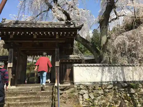 清雲寺の山門