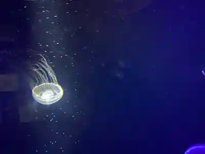 出羽神社(出羽三山神社)～三神合祭殿～(山形県)