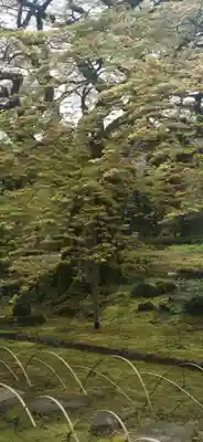 西善寺(埼玉県)