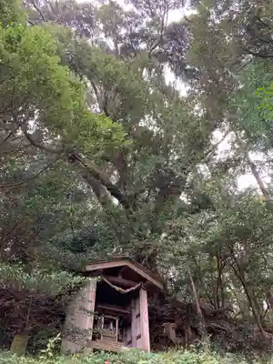 日枝神社の末社・摂社