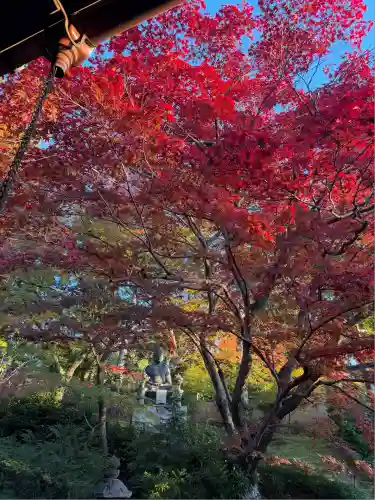 榮攝院（栄摂院）(京都府)