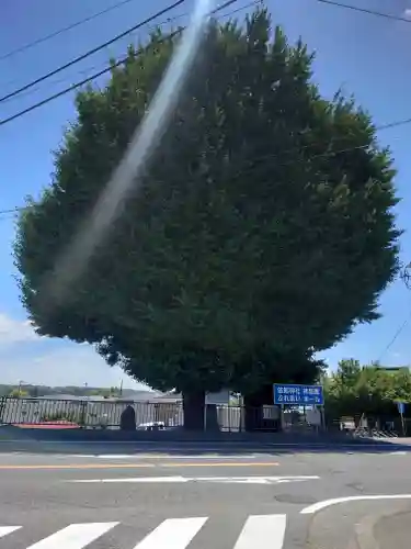 依知神社(神奈川県)