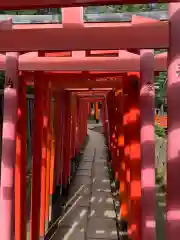 根津神社の鳥居