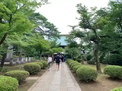 豪徳寺(東京都)
