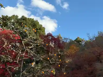 詩仙堂（丈山寺）(京都府)