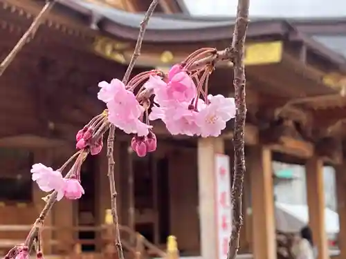 富知六所浅間神社の自然
