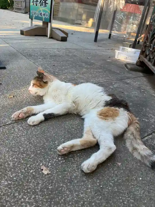 戸越八幡神社(東京都)