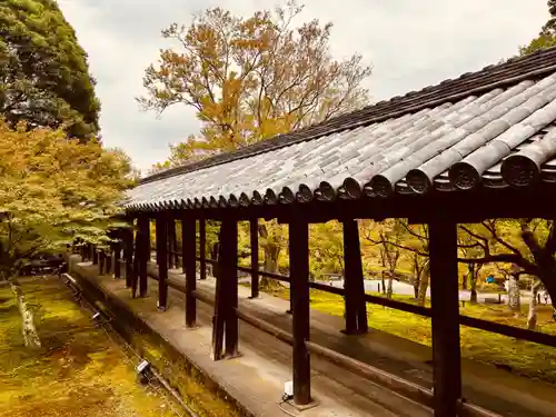 東福禅寺（東福寺）(京都府)