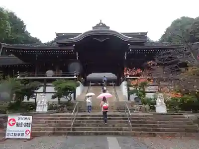 近江神宮の本殿・本堂