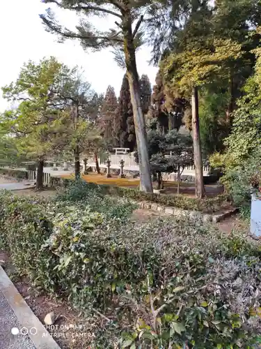 御寺 泉涌寺の自然