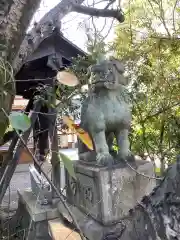 市原稲荷神社の狛犬