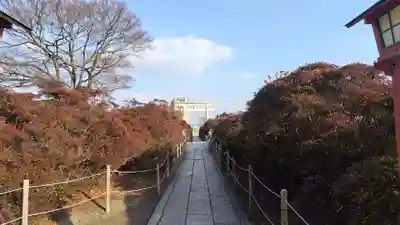 長岡天満宮(京都府)