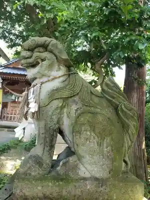 中川熊野神社の狛犬