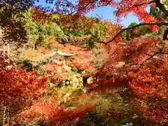 醍醐寺(京都府)