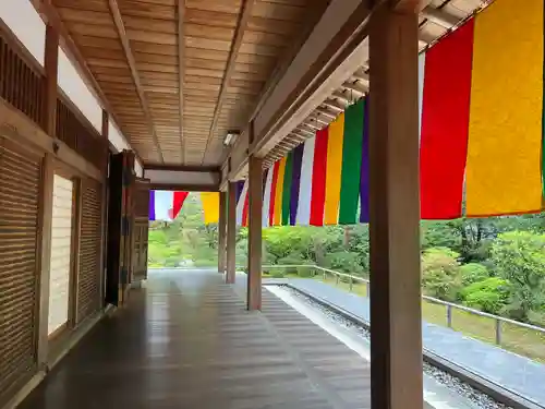  智積院(京都府)