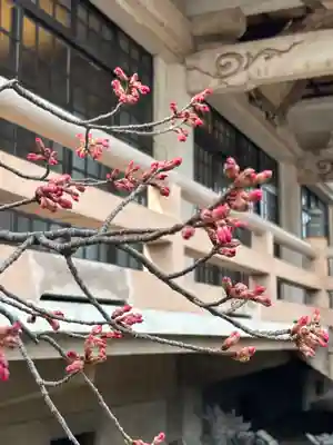 白旗観音寺(兵庫県)