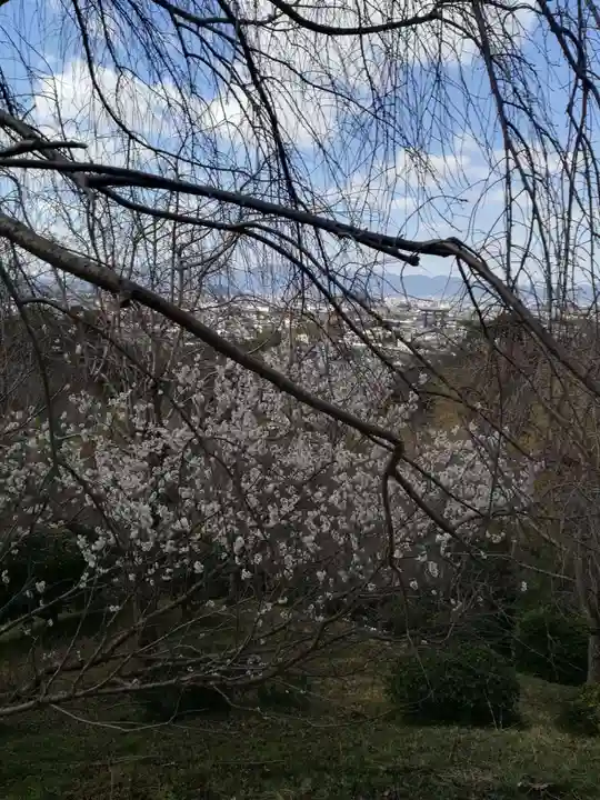久延彦神社の自然