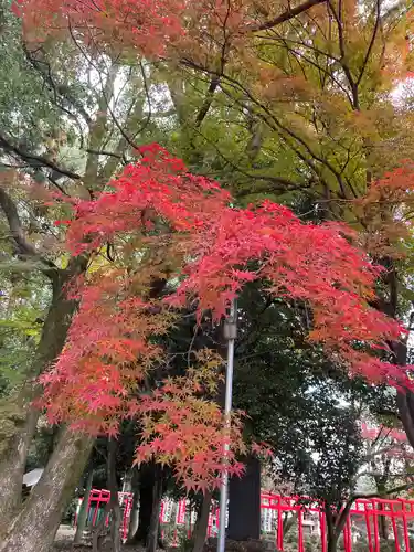 貴船神社(岐阜県)