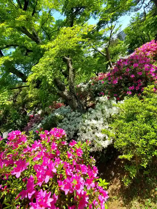 開成山大神宮(福島県)