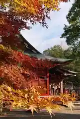 冠稲荷神社の自然