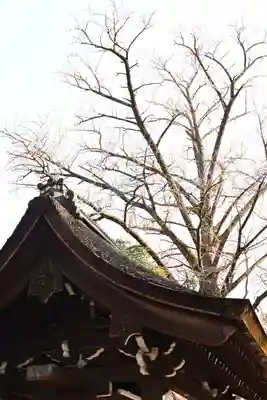 河合神社（鴨川合坐小社宅神社）(京都府)