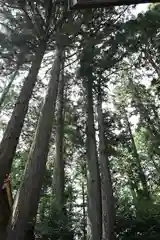 坪沼八幡神社(宮城県)