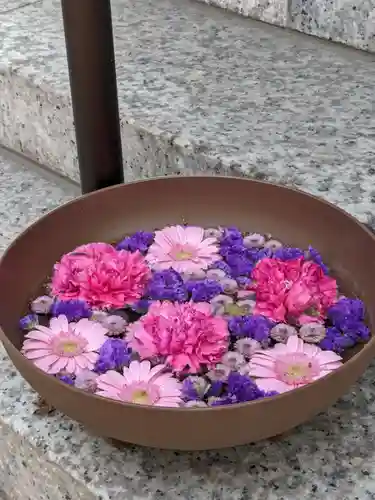 彌彦神社　(伊夜日子神社)の手水舎