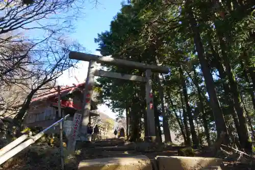 大山阿夫利神社の鳥居