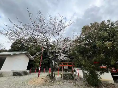 聖神社(大阪府)