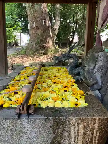 清洲山王宮　日吉神社の手水