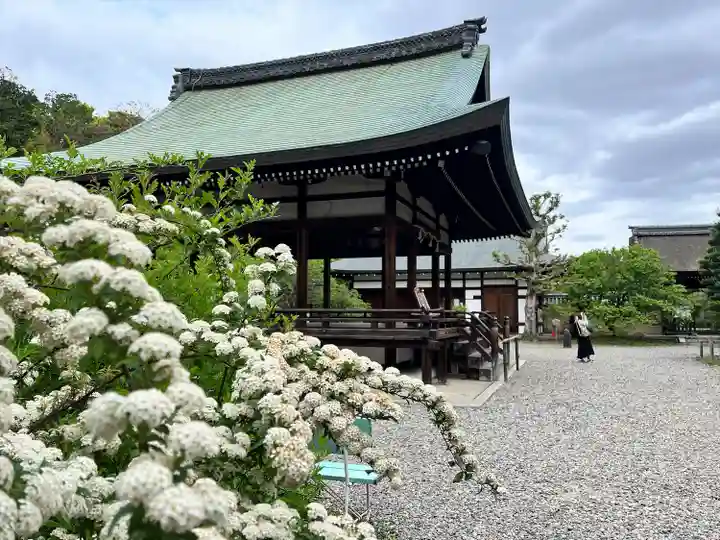 梅宮大社(京都府)