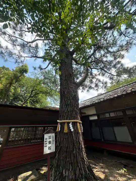 前原御嶽神社(千葉県)