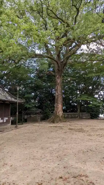 伊居太神社(大阪府)
